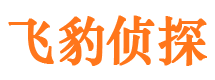 河曲寻人公司